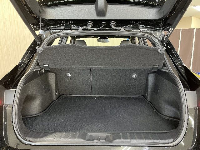 TOYOTA LEXUS LBX 2024 Image 31