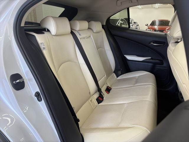 TOYOTA LEXUS UX300E 2021 Image 31