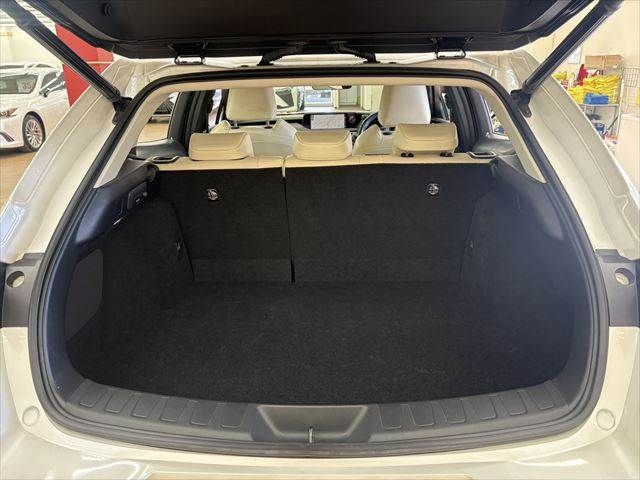 TOYOTA LEXUS UX300E 2021 Image 31