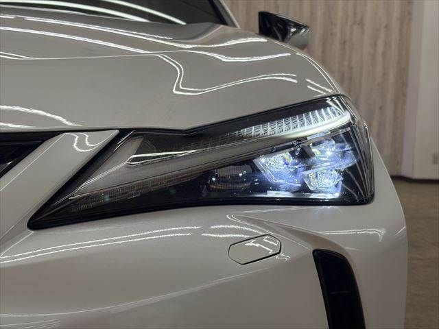 TOYOTA LEXUS UX300E 2021 Image 31