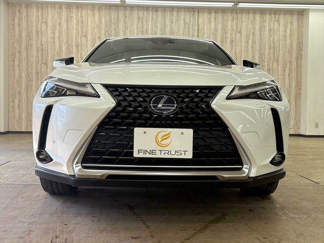 TOYOTA LEXUS UX300E 2021 Image 31