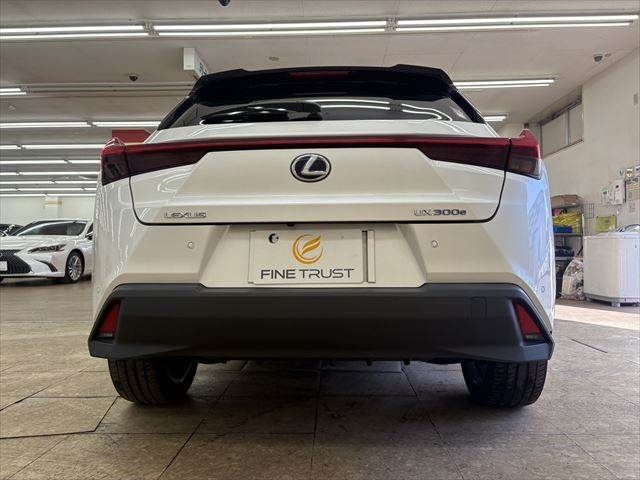 TOYOTA LEXUS UX300E 2021 Image 31