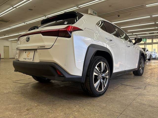 TOYOTA LEXUS UX300E 2021 Image 31