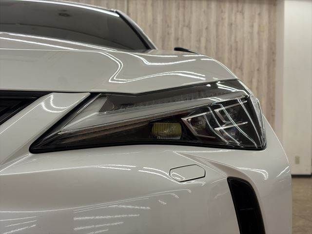 TOYOTA LEXUS UX300E 2021 Image 31