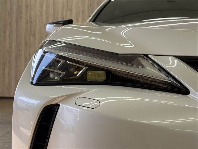 TOYOTA LEXUS UX300E 2021 Image 31