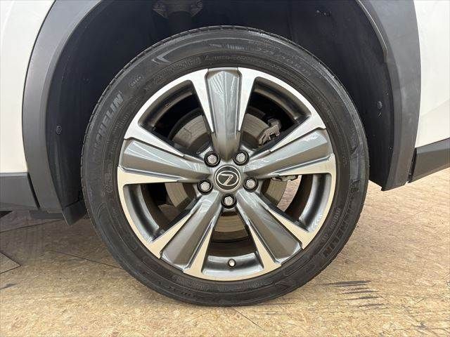 TOYOTA LEXUS UX300E 2021 Image 31