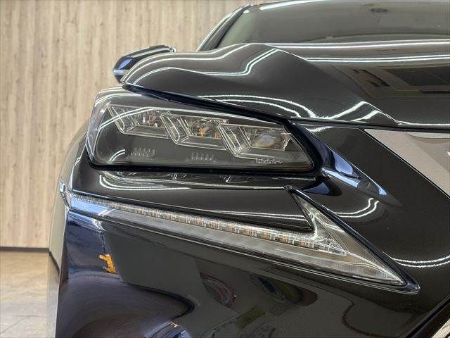 TOYOTA LEXUS NX300H 2015 Image 31