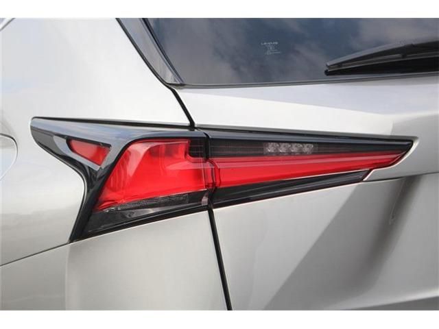 TOYOTA LEXUS NX300 2020 Image 31