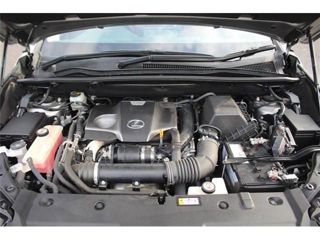 TOYOTA LEXUS NX300 2020 Image 31