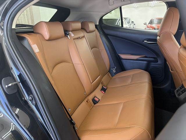 TOYOTA LEXUS UX300E 2021 Image 31