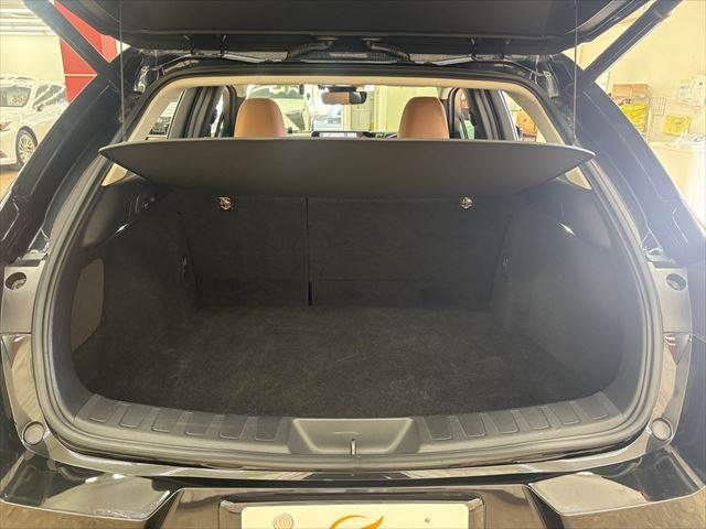 TOYOTA LEXUS UX300E 2021 Image 31