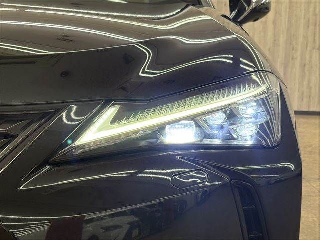 TOYOTA LEXUS UX300E 2021 Image 31