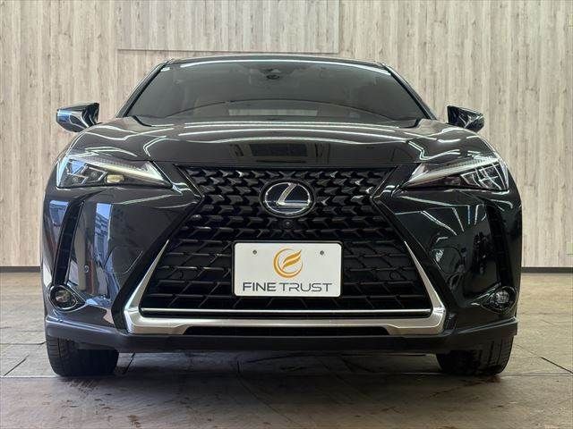 TOYOTA LEXUS UX300E 2021 Image 31