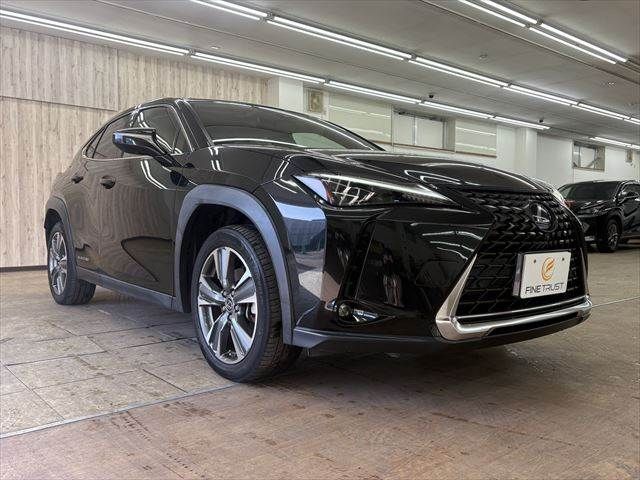 TOYOTA LEXUS UX300E 2021 Image 31