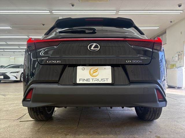 TOYOTA LEXUS UX300E 2021 Image 31