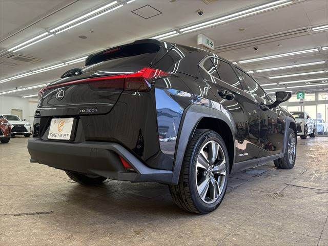 TOYOTA LEXUS UX300E 2021 Image 31
