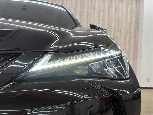 TOYOTA LEXUS UX300E 2021 Image 31