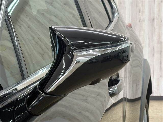 TOYOTA LEXUS UX300E 2021 Image 31