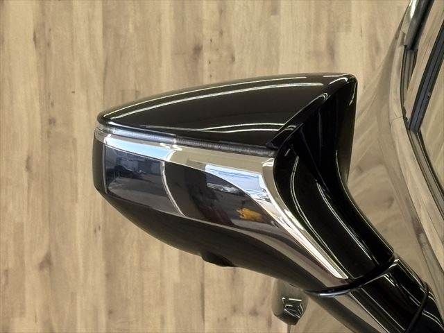 TOYOTA LEXUS UX300E 2021 Image 31