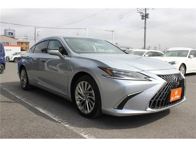 TOYOTA LEXUS ES300H 2022 Image 31