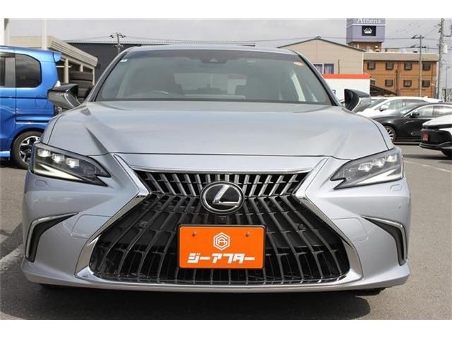TOYOTA LEXUS ES300H 2022 Image 31