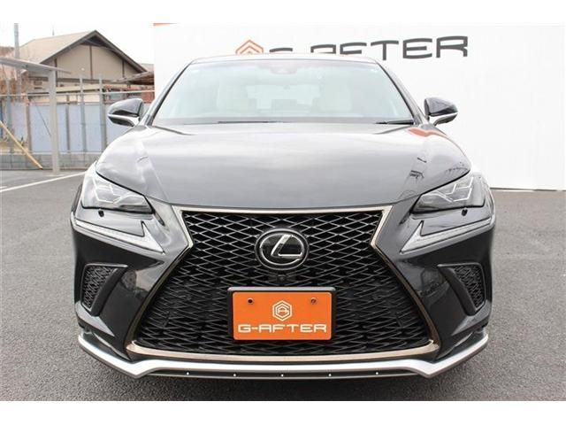 TOYOTA LEXUS NX300 2017 Image 31