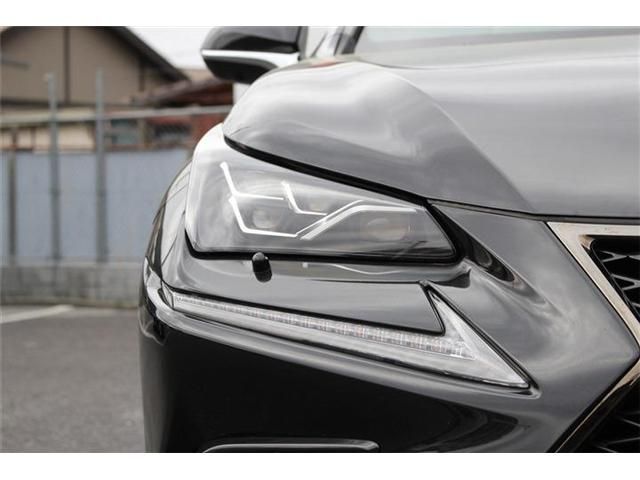 TOYOTA LEXUS NX300 2017 Image 31