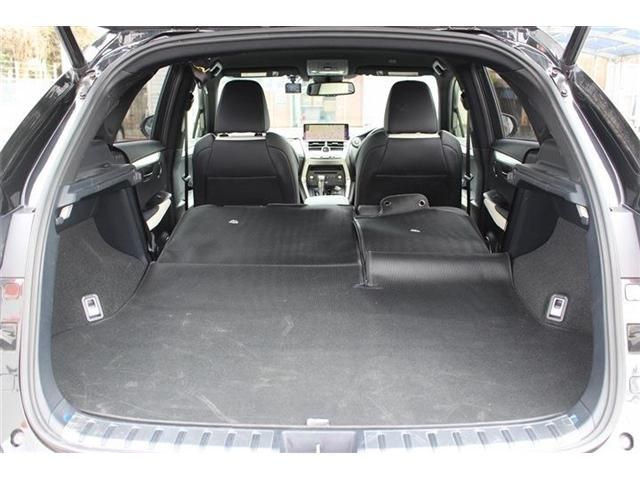 TOYOTA LEXUS NX300 2017 Image 31