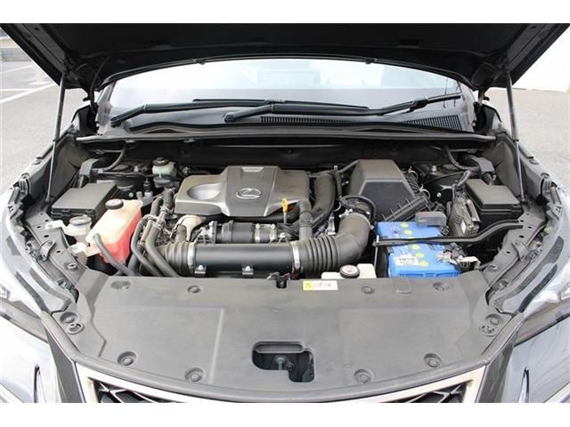 TOYOTA LEXUS NX300 2017 Image 31