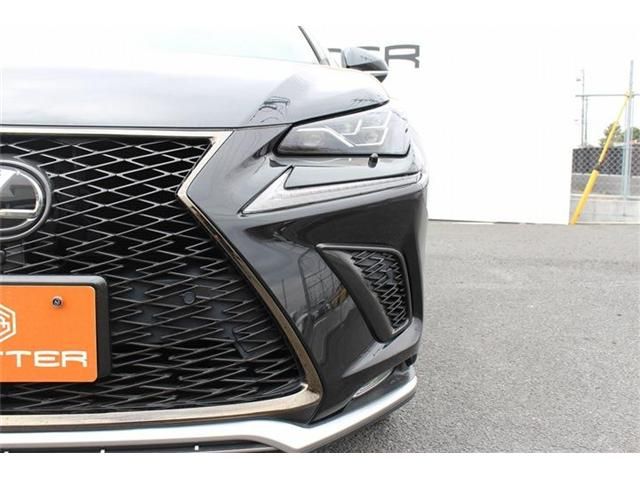 TOYOTA LEXUS NX300 2017 Image 31