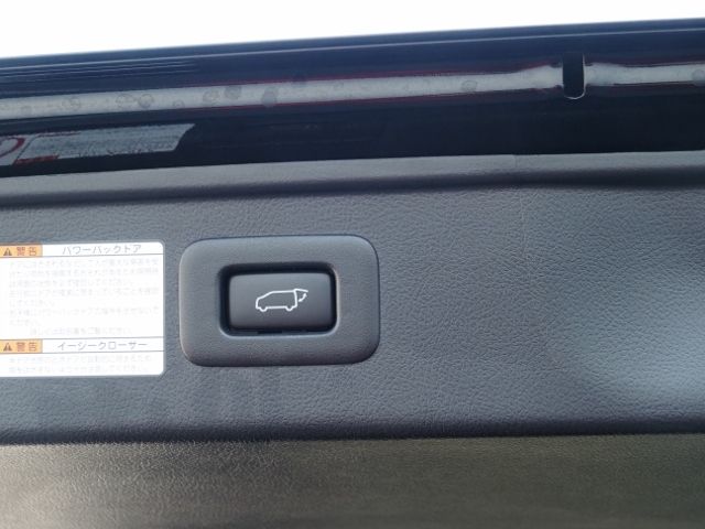 TOYOTA ALPHARD HYBRID 4WD 2021 Image 31