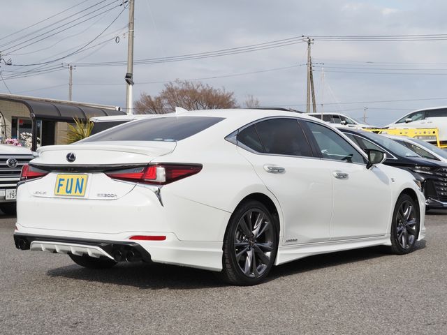TOYOTA LEXUS ES300H 2019 Image 31