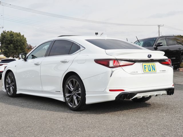 TOYOTA LEXUS ES300H 2019 Image 31