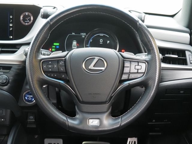 TOYOTA LEXUS ES300H 2019 Image 31