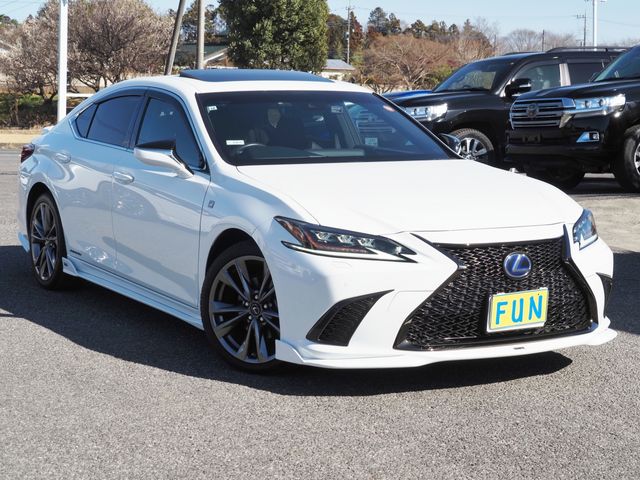 TOYOTA LEXUS ES300H 2019 Image 31