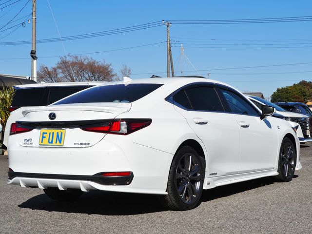 TOYOTA LEXUS ES300H 2019 Image 31