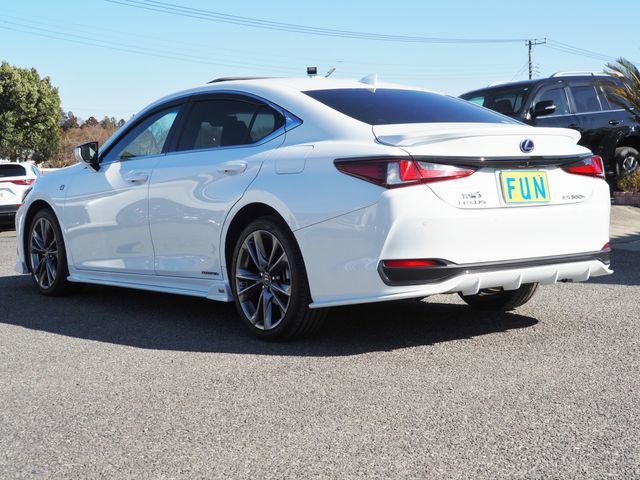 TOYOTA LEXUS ES300H 2019 Image 31