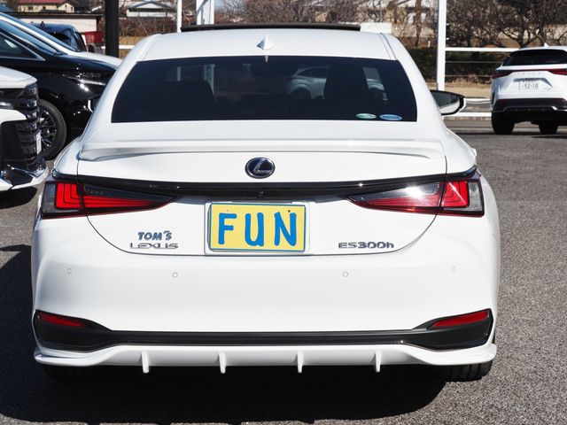 TOYOTA LEXUS ES300H 2019 Image 31