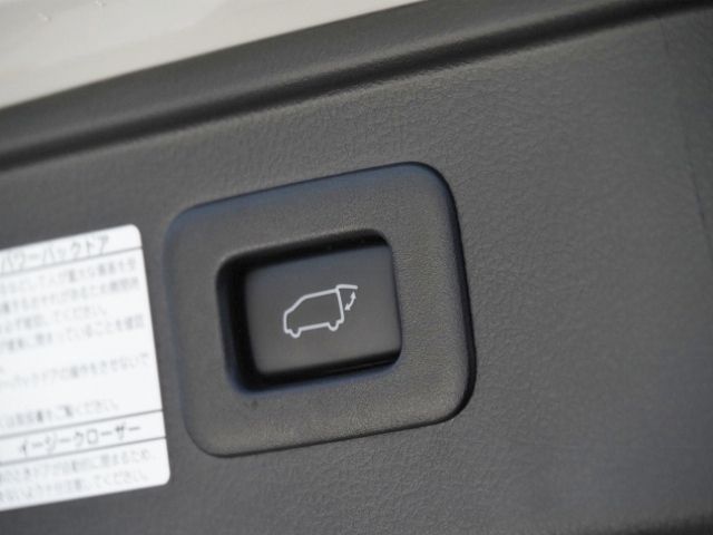 TOYOTA ALPHARD HYBRID 4WD 2021 Image 31