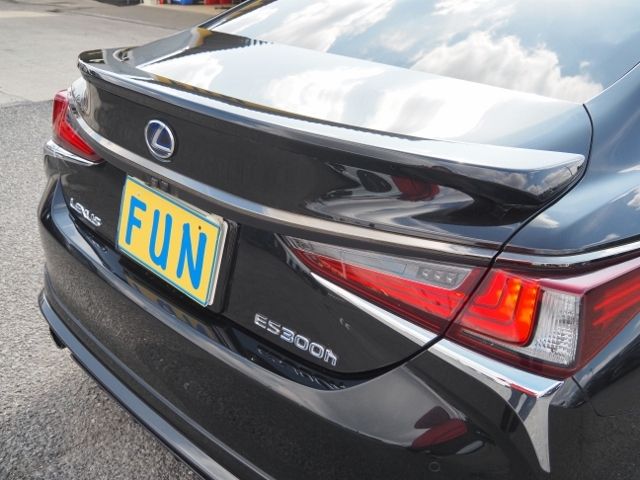 TOYOTA LEXUS ES300H 2021 Image 31