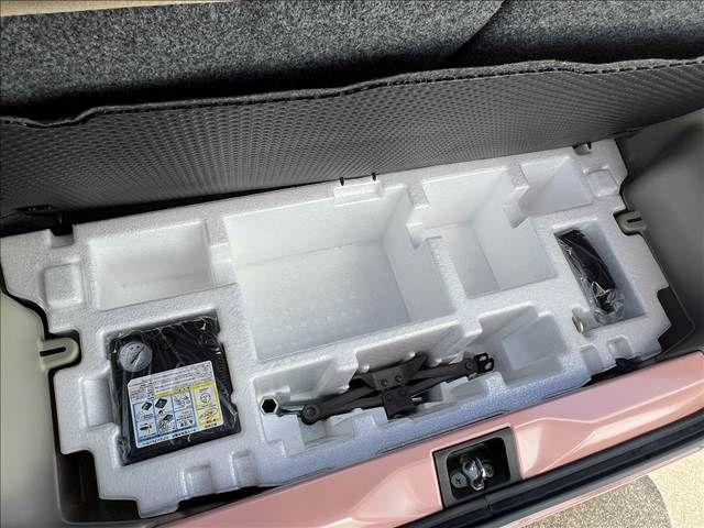 SUZUKI ALTO LAPIN 2020 Image 31