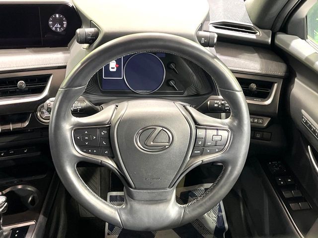 TOYOTA LEXUS UX200 2019 Image 31