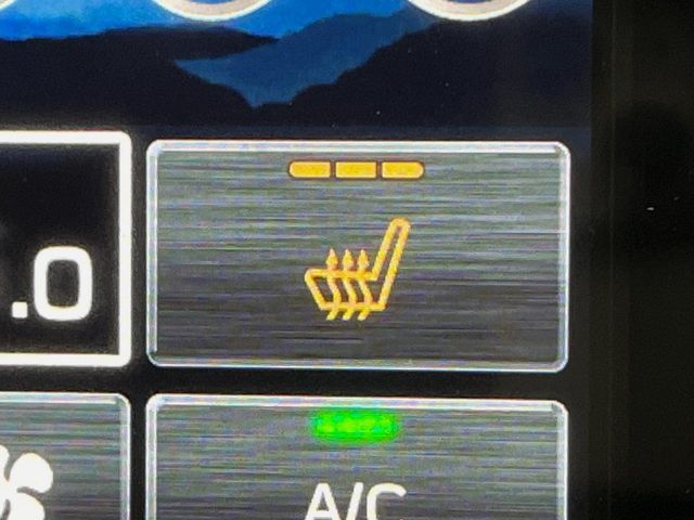 SUBARU FORESTER 2025 Image 31