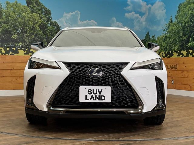 TOYOTA LEXUS UX250H AWD 2019 Image 31
