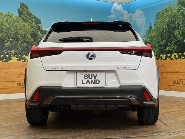 TOYOTA LEXUS UX250H AWD 2019 Image 31