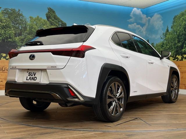TOYOTA LEXUS UX250H AWD 2019 Image 31