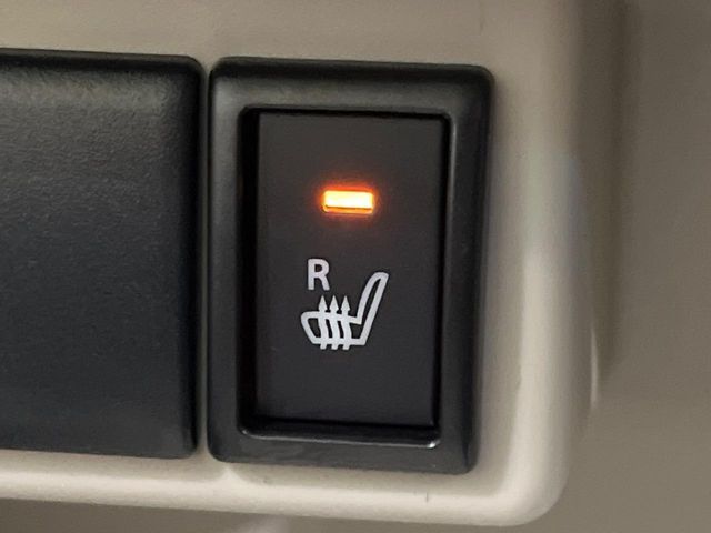 SUZUKI ALTO LAPIN 2020 Image 31