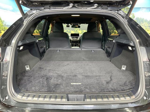 TOYOTA LEXUS NX300 2020 Image 31