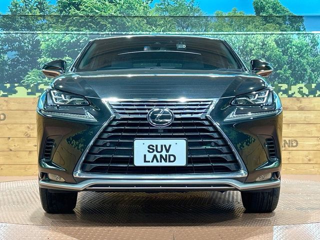 TOYOTA LEXUS NX300 2020 Image 31