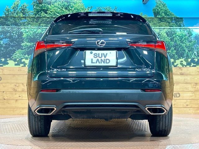 TOYOTA LEXUS NX300 2020 Image 31